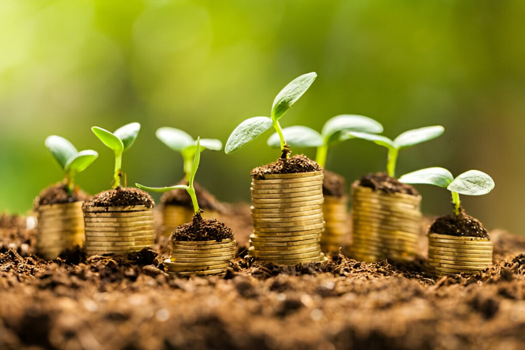 Seed Funding