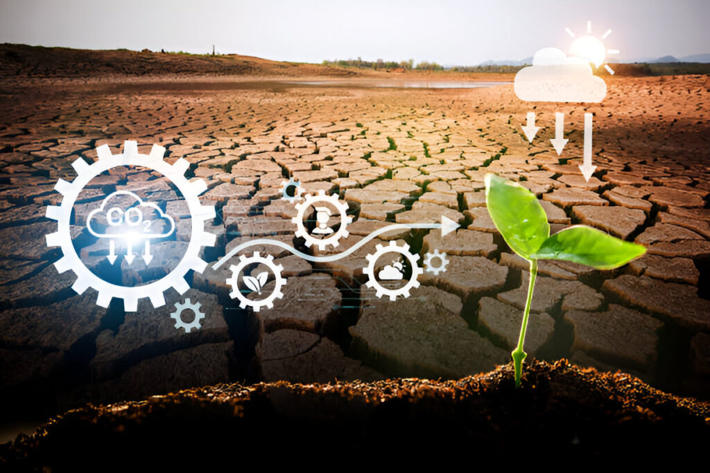Sources of Seed Funding