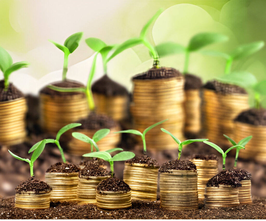Seed Funding Companies in India